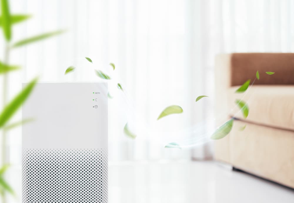Air Quality and Purification