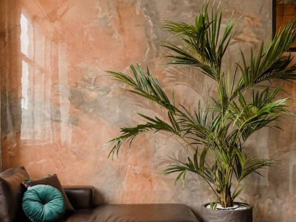 Painting Services in Dubai: What Determines the Result