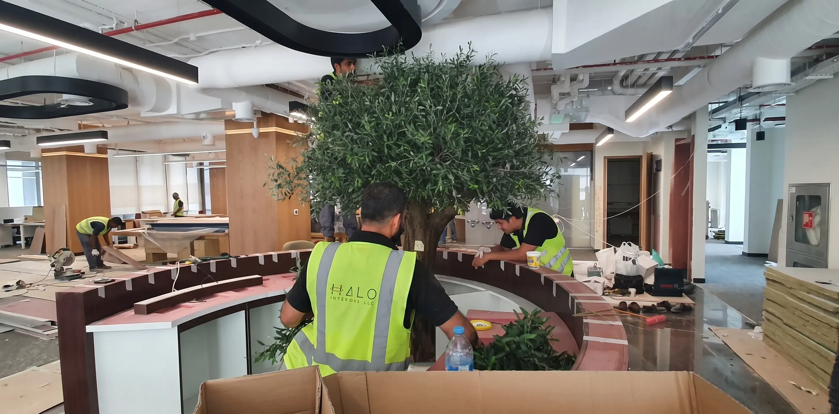 Fit–Out