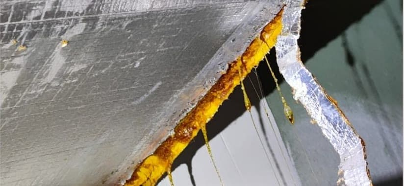 All Category Inspection 11 - Ceiling
