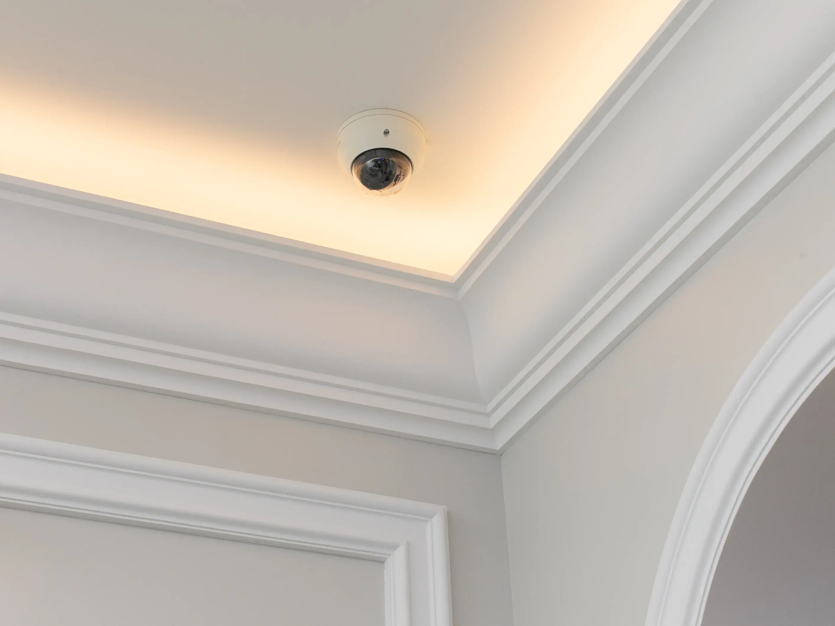 Security Systems