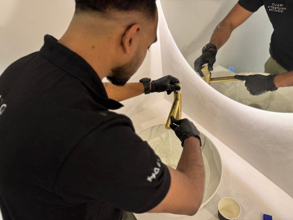 Professional Inspection