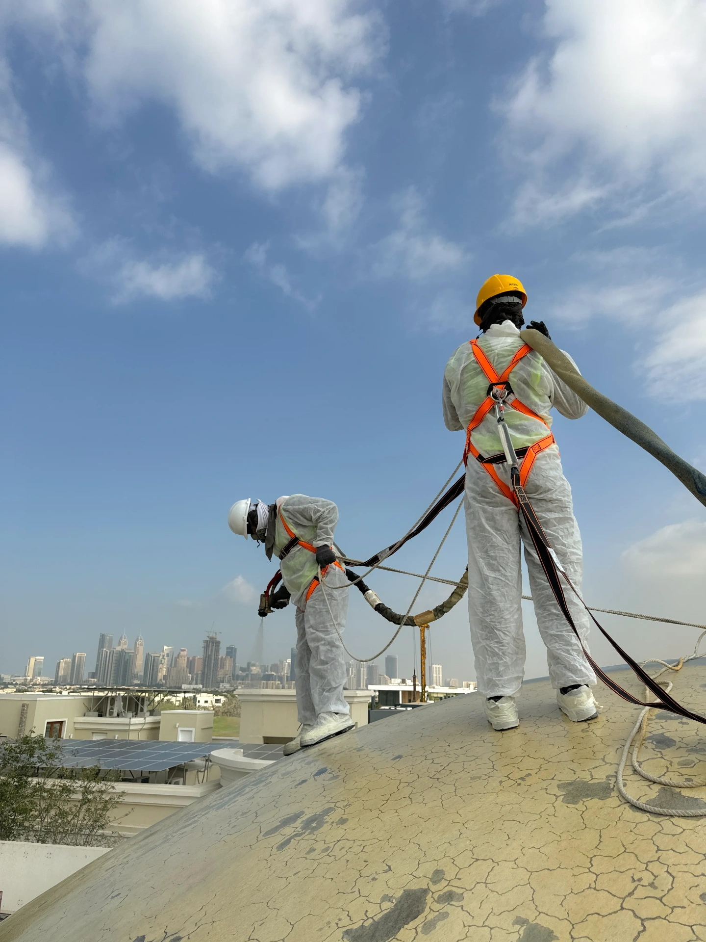Dome Protection